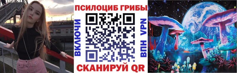 купить   Осташков  Галлюциногенные грибы прущие грибы 